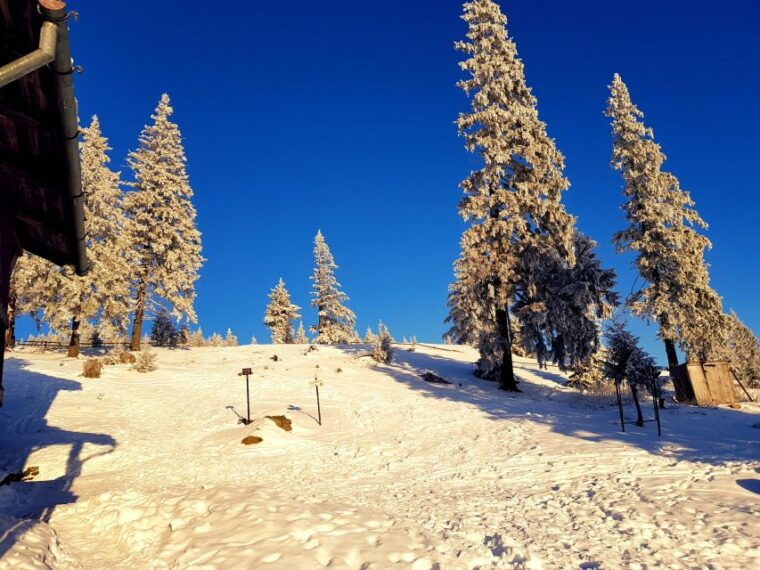 from-cluj-napoca-day-hike-to-vladeasa-peak