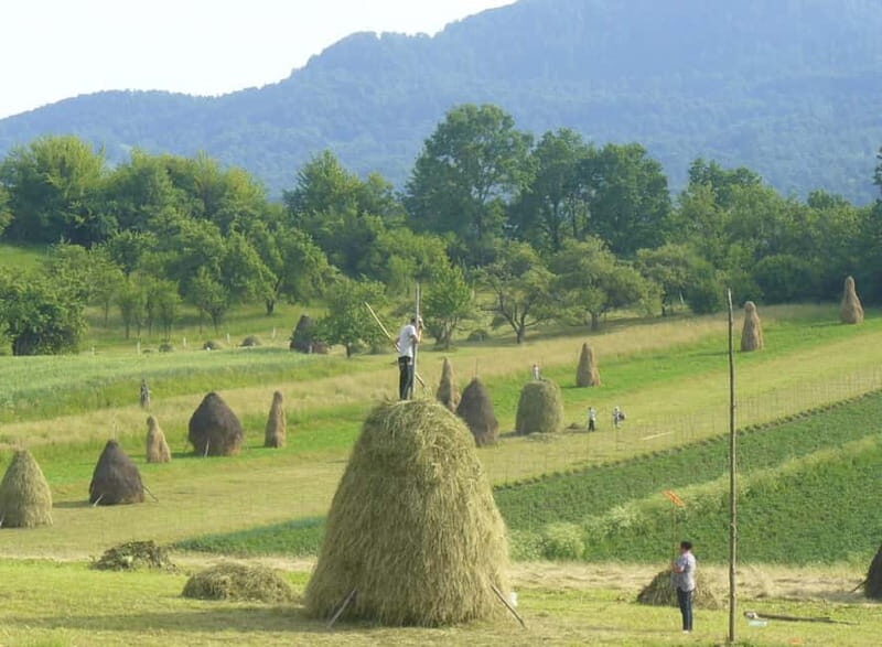 From Cluj-Napoca: Maramure 3-Day Tour with Accommodation - Frequently Asked Questions