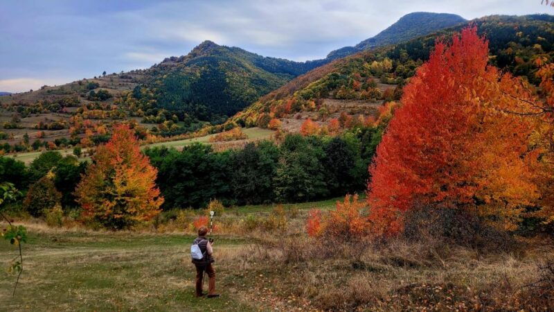 from-cluj-turda-salt-mine-gorge-and-remetea-full-day-trip