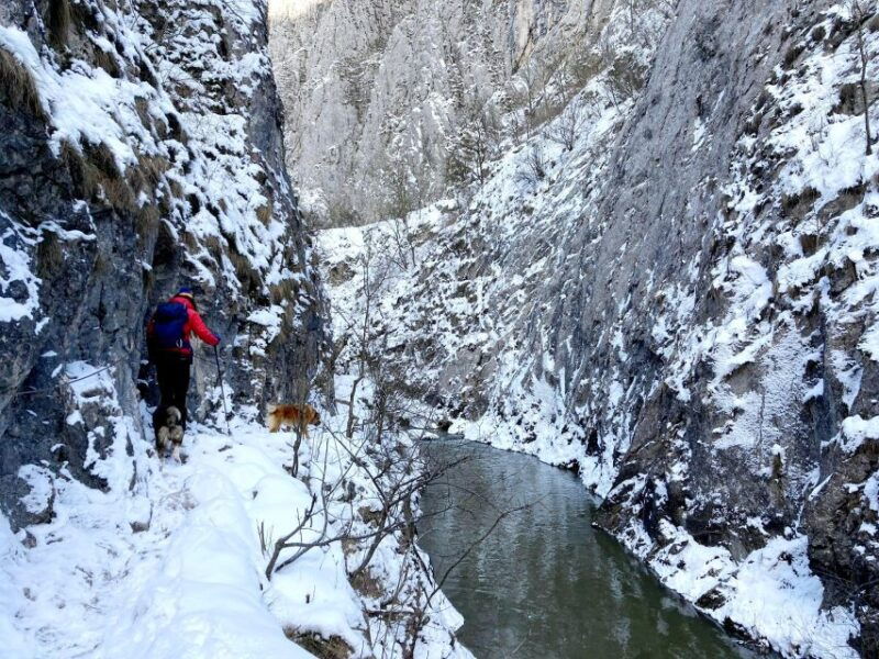 from-cluj-turda-salt-mine-gorge-and-remetea-full-day-trip