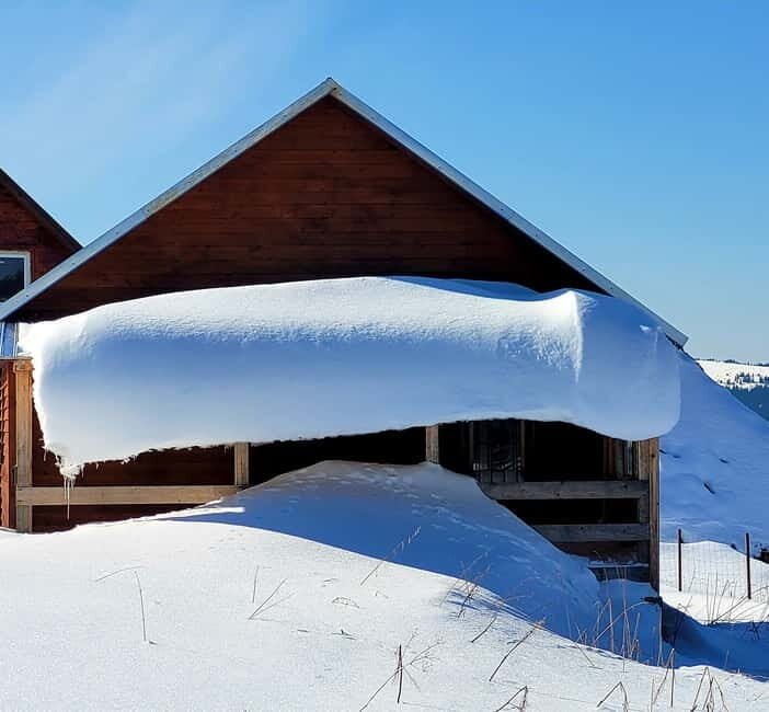 From Cluj: Winter Walking Trip on the Great Mountain - Final Thoughts