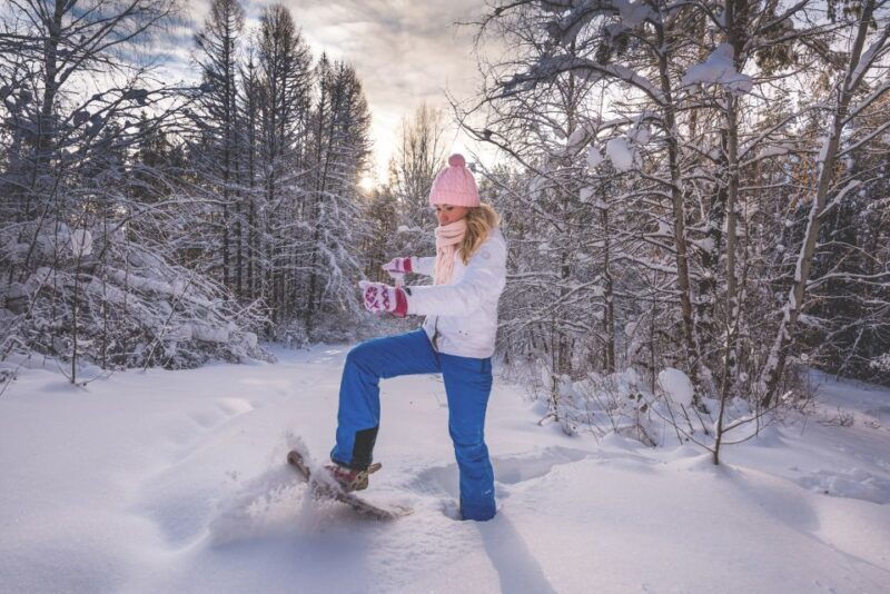 from-cluj-winter-walking-trip-on-the-great-mountain
