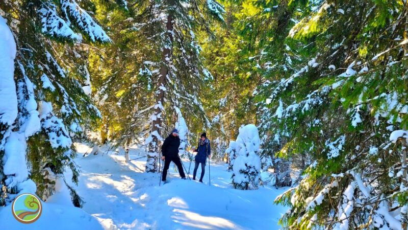 from-cluj-winter-walking-trip-on-the-great-mountain