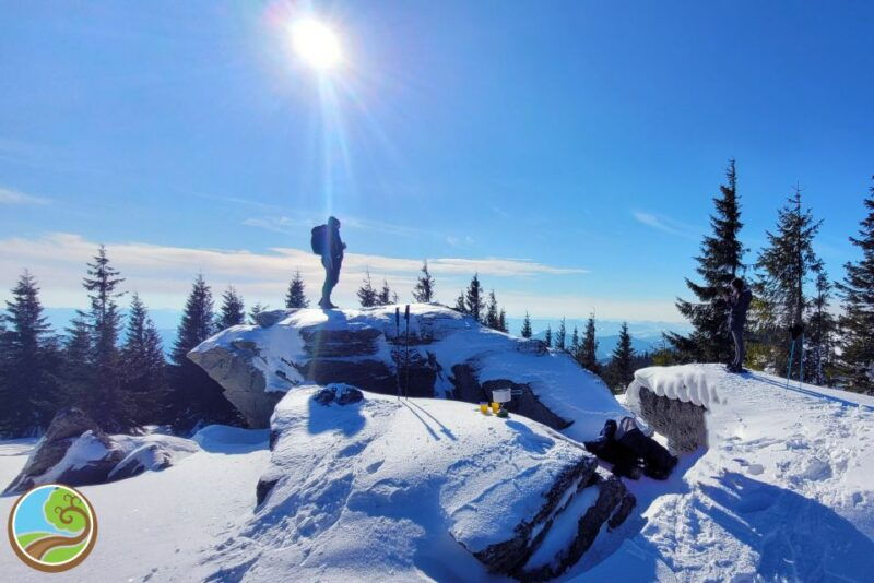 from-cluj-winter-walking-trip-on-the-great-mountain
