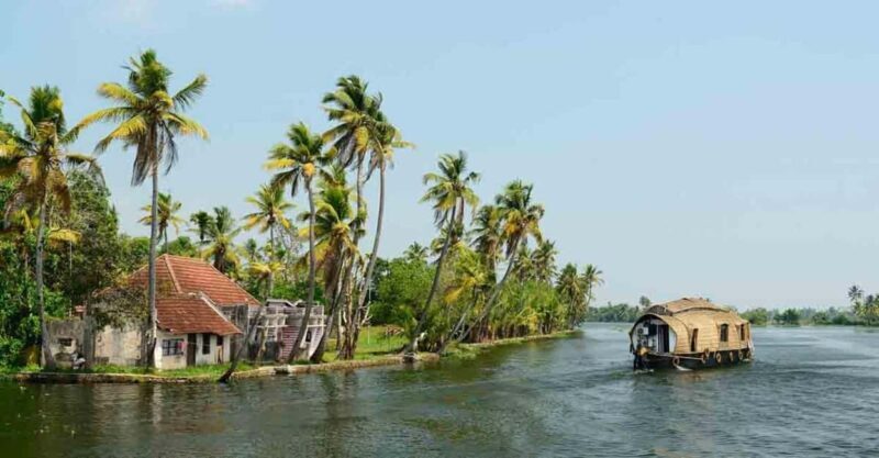 From Cochin : Alleppey Houseboat day cruise - Round trip - Exploring the Itinerary: What You Can Expect Day-By-Day