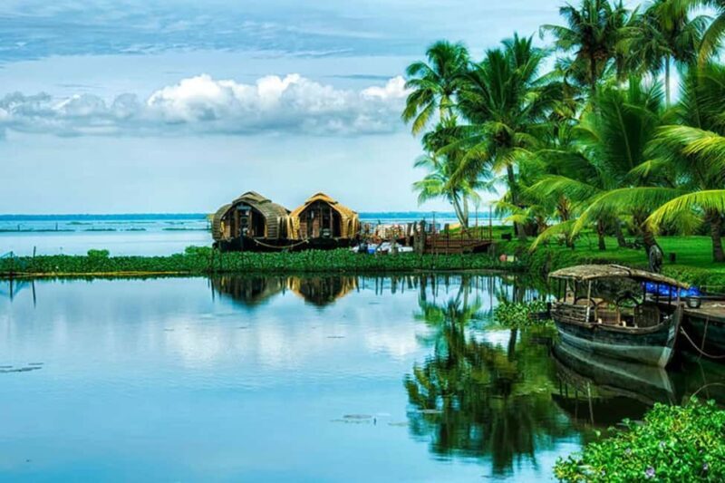 From Cochin : Alleppey Houseboat day cruise - Round trip - What Makes This Tour Stand Out