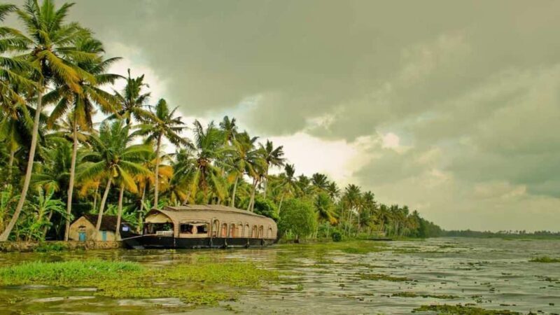 From Cochin : Alleppey Houseboat day cruise - Round trip - The Sum Up: Is This Tour for You?