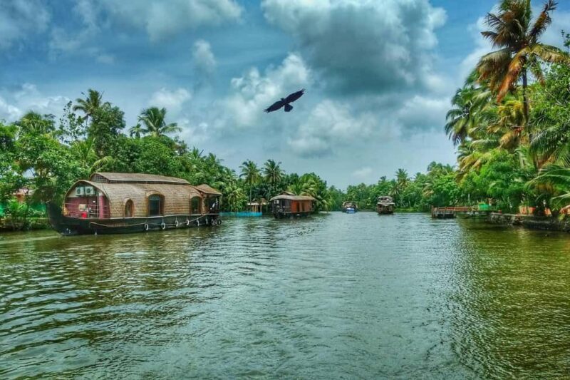 From Cochin: Alleppey Houseboat Day Tour with Lunch - Key Points