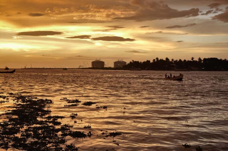From Cochin: Alleppey Houseboat Day Tour with Lunch - Final Thoughts