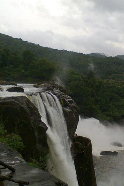 From Cochin: Athirappilly Waterfall Excursion with Lunch - Returning to Cochin