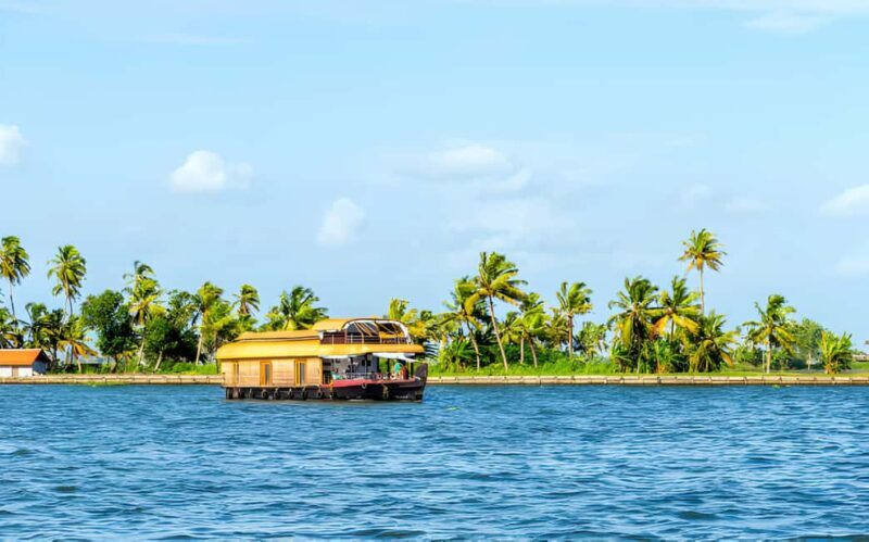 From Cochin: Day Tour of Alleppey houseboat with Lunch - Key Points