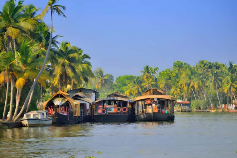 From Cochin: Day Tour of Alleppey houseboat with Lunch - Who This Tour Is Best For