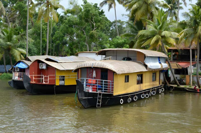 From Cochin: Day Tour of Alleppey houseboat with Lunch - Final Thoughts