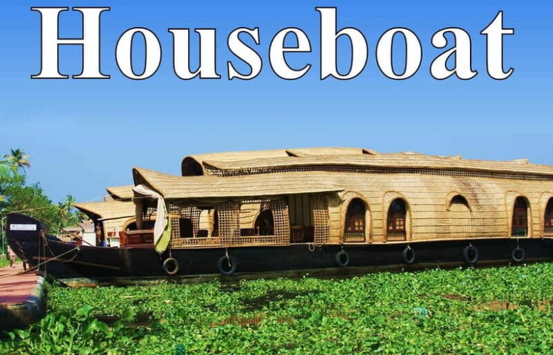 From Cochin Port: Backwater Cruise and Chinese Nets - The Iconic Chinese Fishing Nets at Fort Kochi