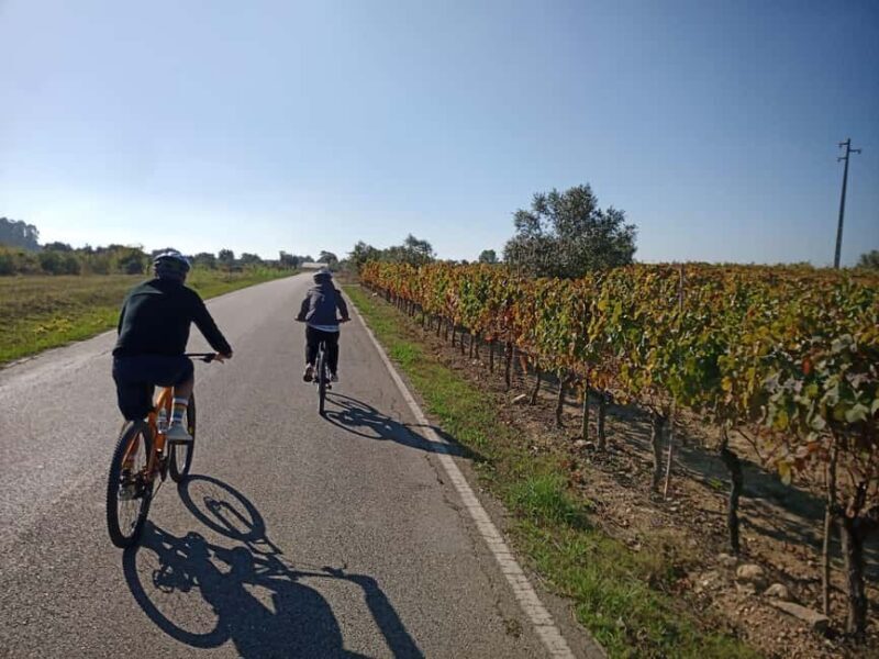 From Coimbra: Cycling in the Vineyards of Bairrada - Discovering Bairradas Charm on Two Wheels