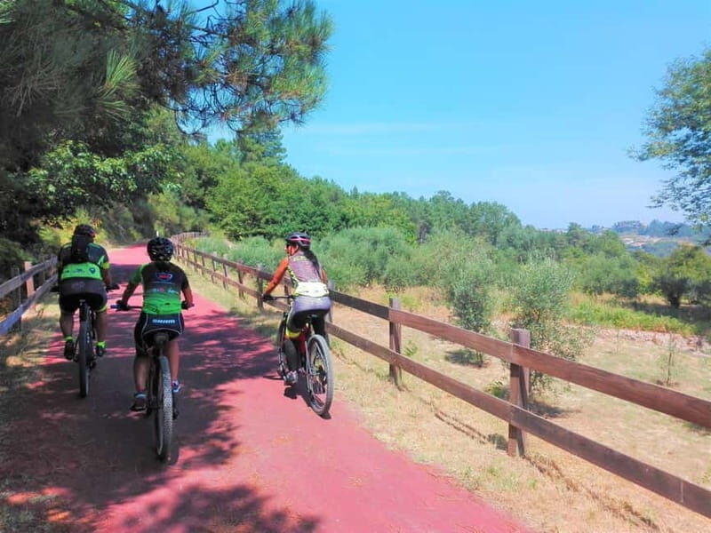 From Coimbra: Cycling on the Dão Ecotrail - From Coimbra: Cycling on the Dão Ecotrail