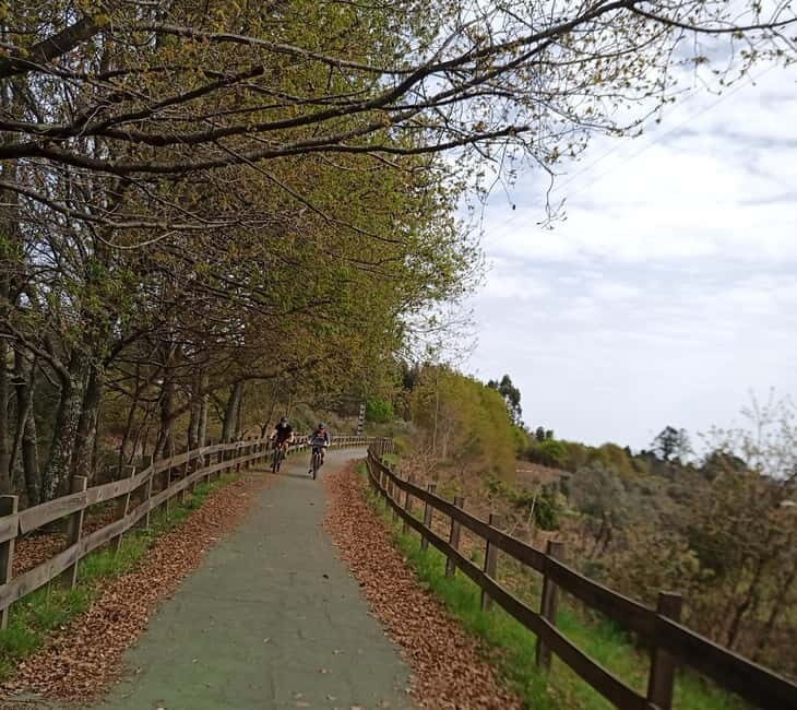 From Coimbra: Cycling on the Dão Ecotrail - Final Thoughts: Who Is This Tour For?