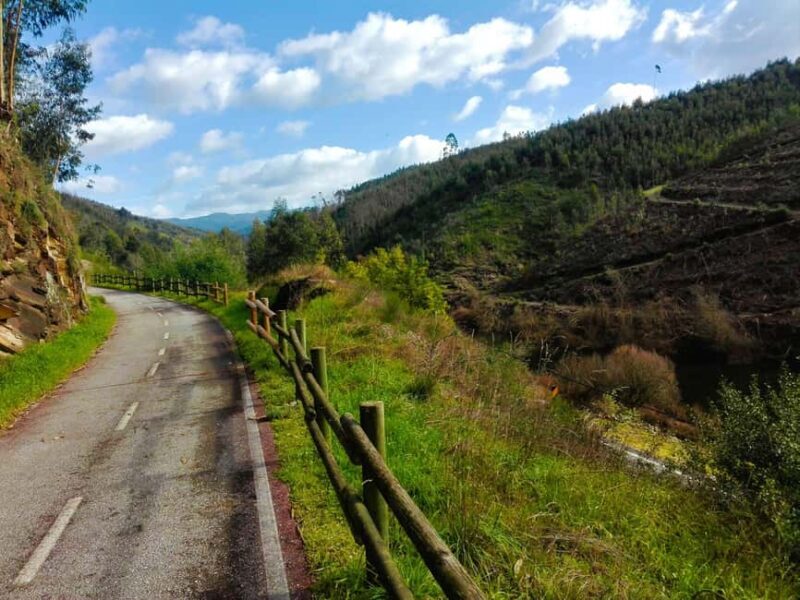 From Coimbra: Cycling on the Vouga Eco-Trail - What Makes This Tour Special?