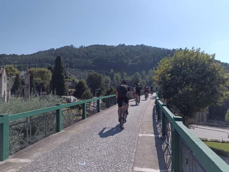 From Coimbra: Cycling on the Vouga Eco-Trail - Final Thoughts: Who Will Love This Tour?