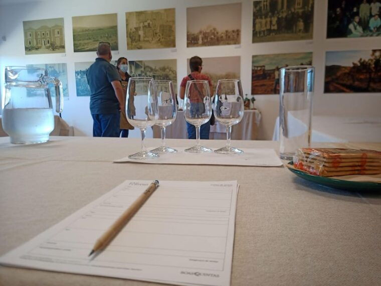 from-coimbra-dao-wine-route-experience