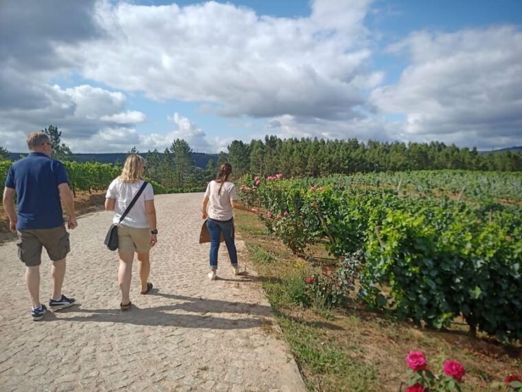 from-coimbra-dao-wine-route-experience
