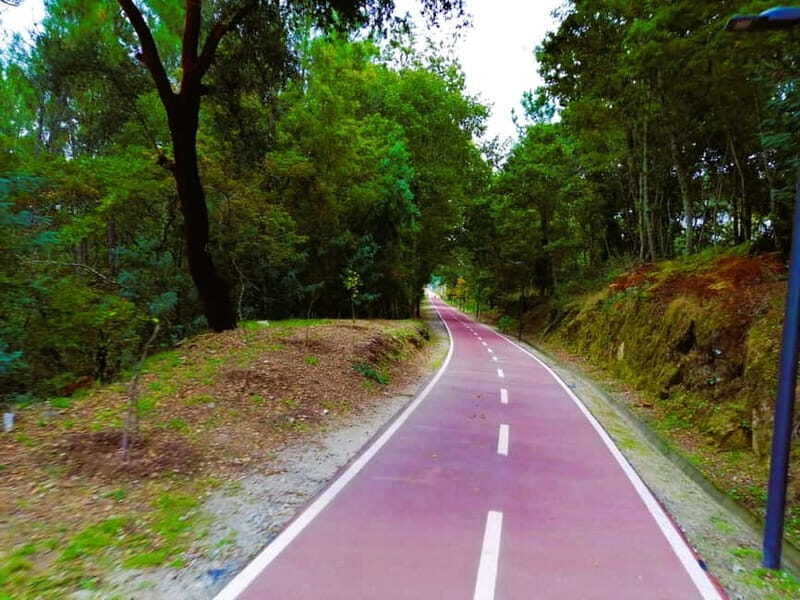 From Coimbra: Ecopista do Vouga cycling route - In The Sum Up