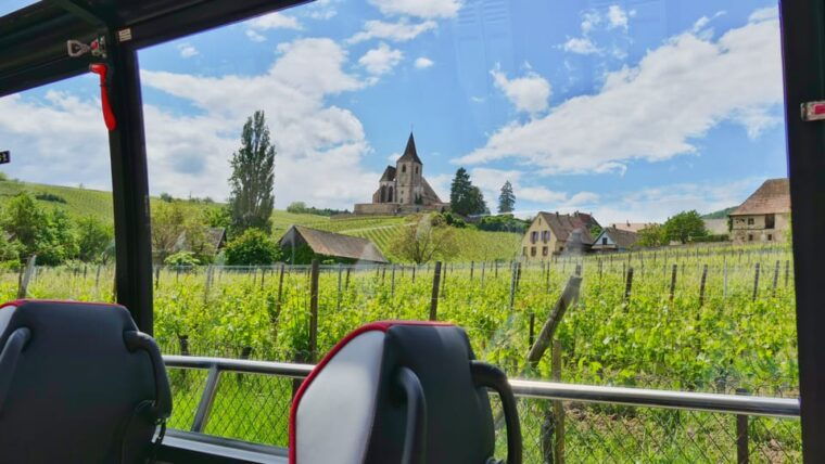 from-colmar-alsace-medieval-and-wine-tasting-day-tour
