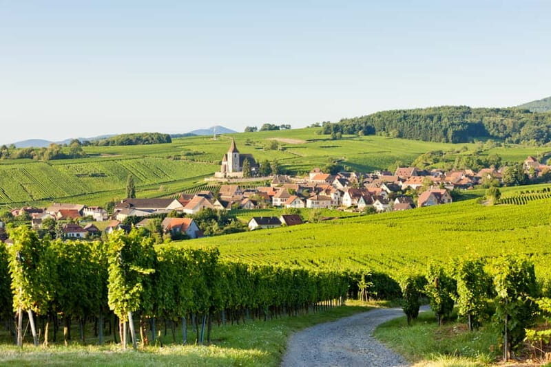 From Colmar: Alsace Villages Tour and Wine Tasting - Key Points