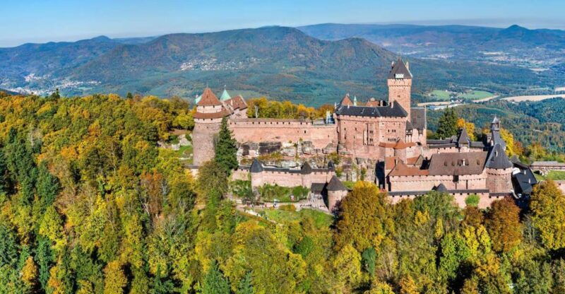 From Colmar: Alsace wine route tour Full Day - Who Will Love This Tour?