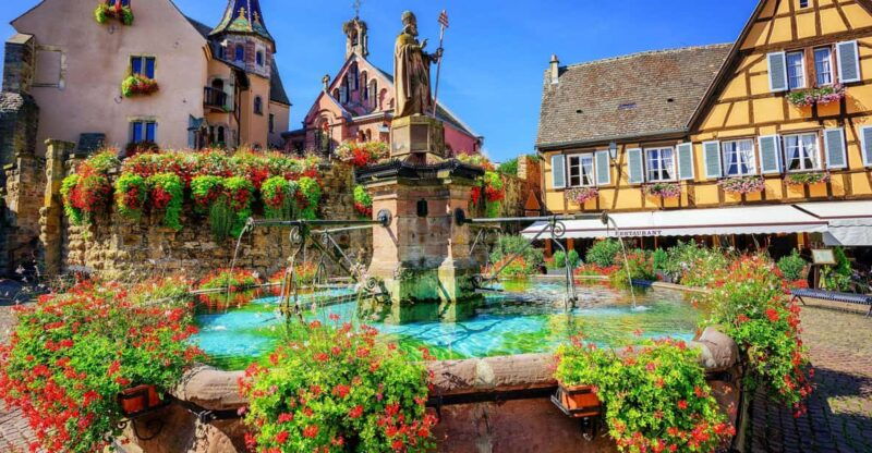 From Colmar: Alsace wine route tour Half Day - How This Tour Balances Price and Value