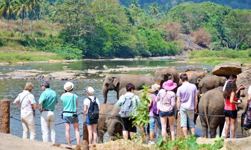 from-colombo-4-day-hill-country-tour-with-train-ride