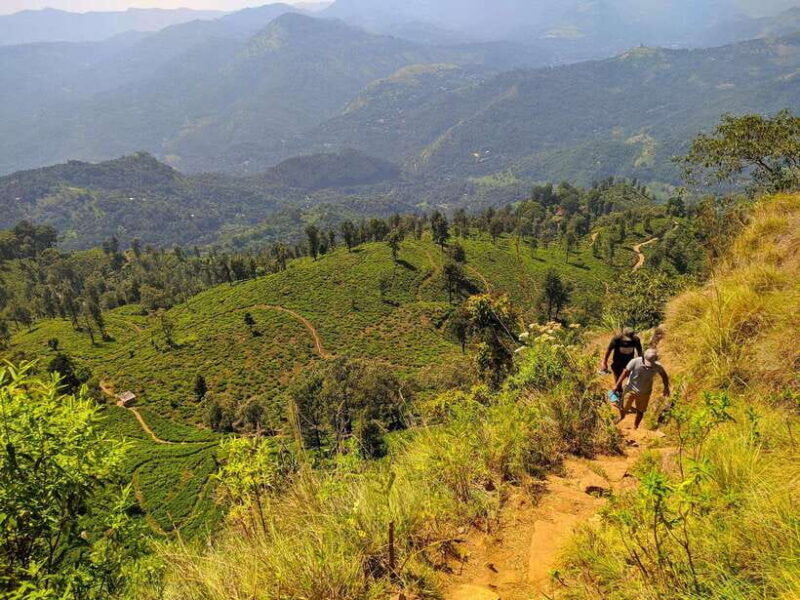 from-colombo-4-day-hill-country-tour-with-train-ride