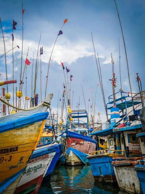 from-colombo-all-inclusive-day-tour-to-galle