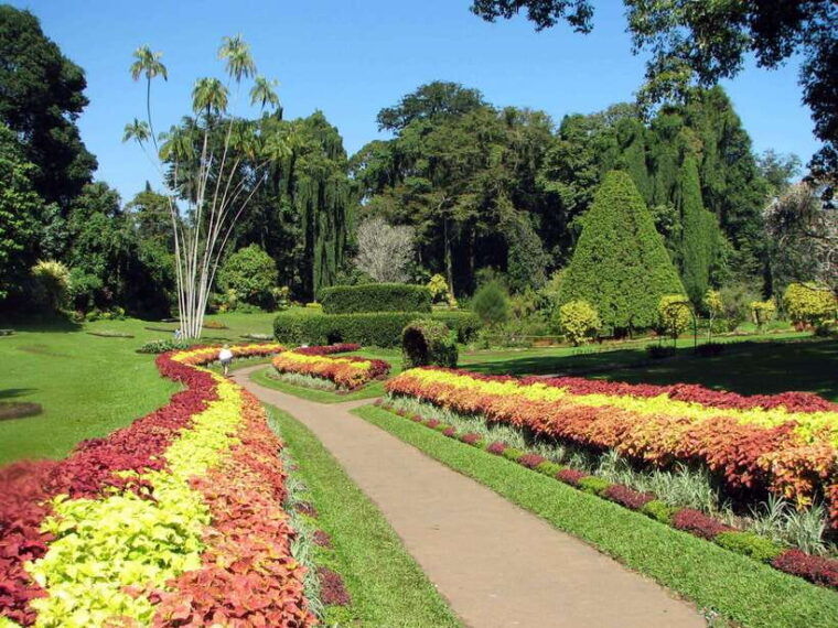 from-colombo-day-trip-to-kandy-pinnwala-royal-gardens-3