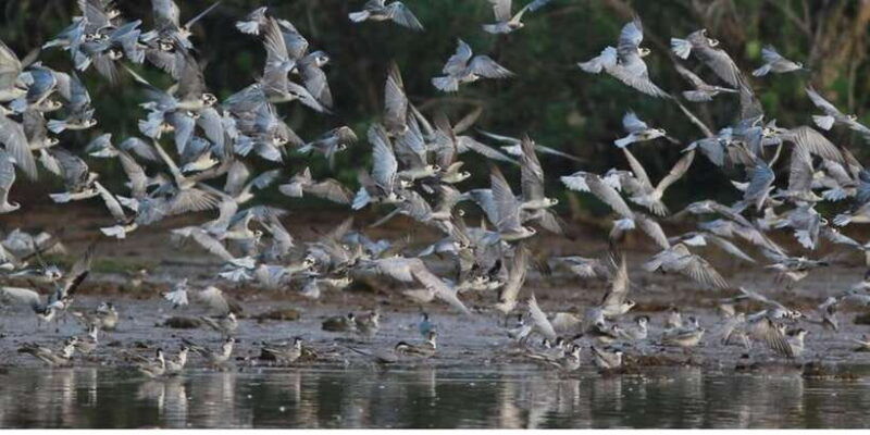 from-colombo-dutch-canal-boat-adventure-private