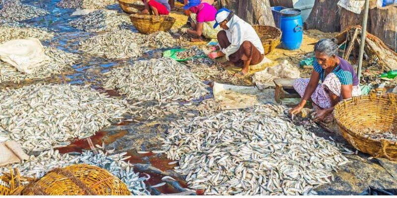from-colombo-dutch-canal-boat-adventure-private