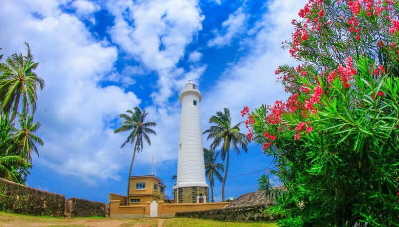 From Colombo: Galle Fort & Jungle Beach, Bentota Day Tour - Who Will Enjoy This Tour?