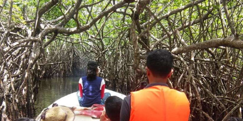 from-colombo-galle-guided-tour-with-herbal-massage