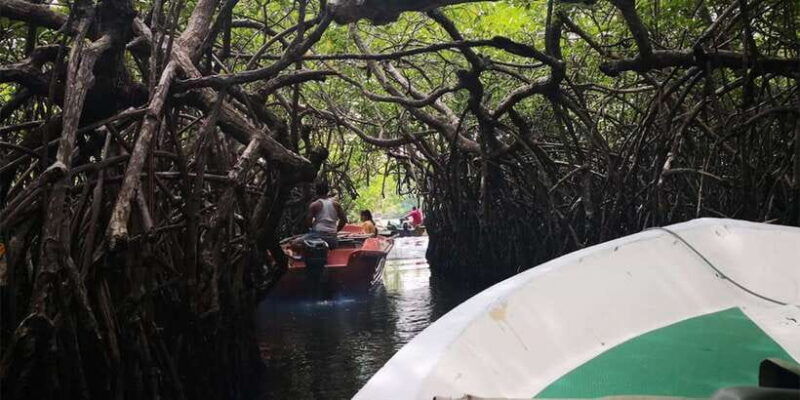 from-colombo-handungoda-galle-ahangama-kosgoda-tour