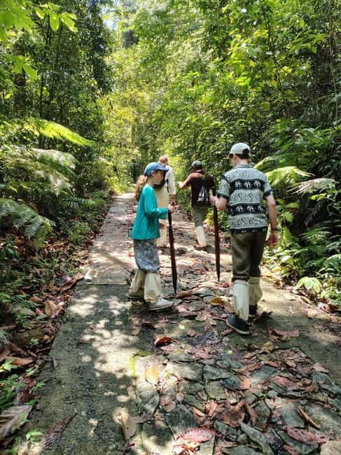 From Colombo/Kalutara: Full-Day Sinharaja Guided Eco Trek - Key Points