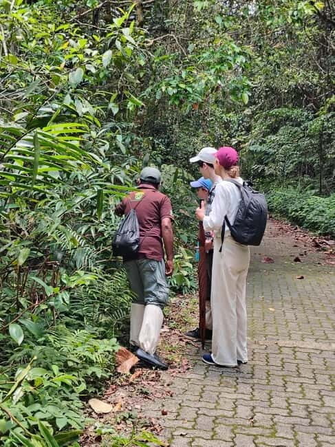 From Colombo/Kalutara: Full-Day Sinharaja Guided Eco Trek - The Practicalities: What’s Included & What to Prepare