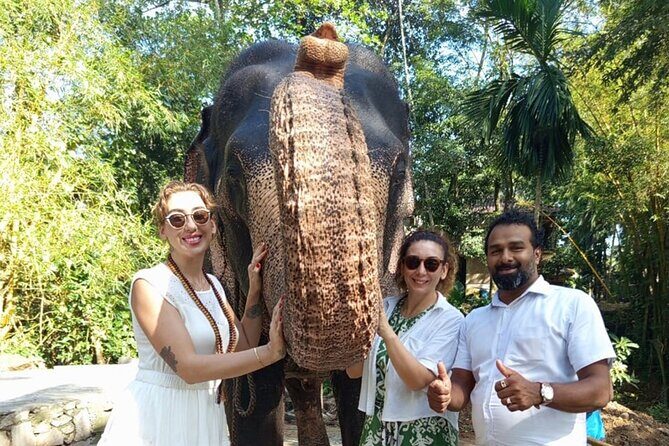 From Colombo: Kandy and Pinnawala Full-Day Trip - A Full Day Exploring Kandy: What’s Included and What to Expect