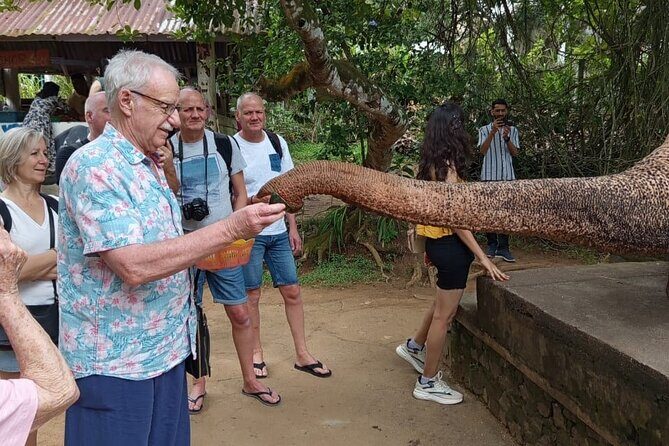 From Colombo: Kandy and Pinnawala Full-Day Trip - FAQ