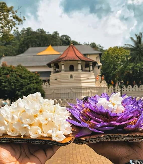 From Colombo: Kandy and Pinnawala Orphanage Short Excursions - Key Points