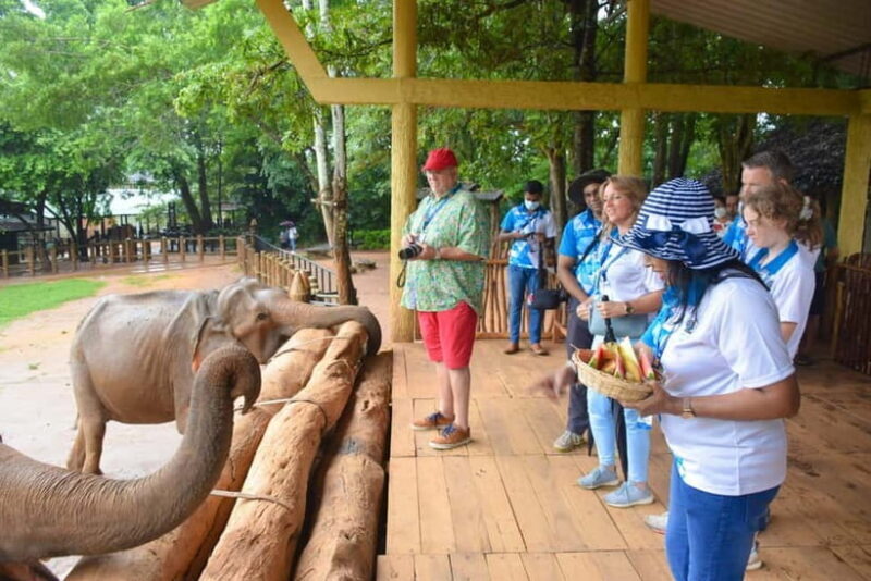 From Colombo: Kandy and Pinnawala Orphanage Short Excursions - Authentic Insights from Reviewers