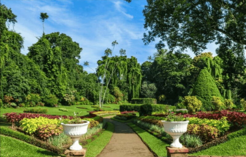 from-colombo-kandy-and-tea-plantations-day-trip