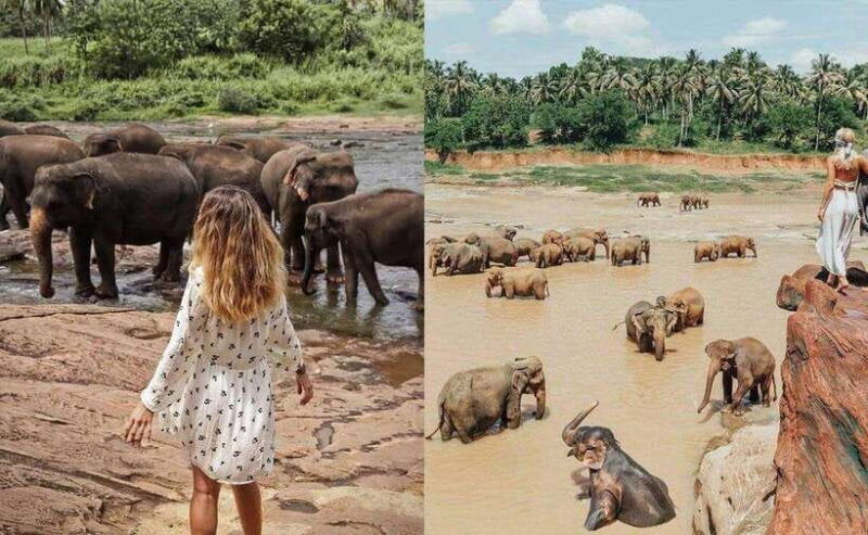 from-colombo-kandy-day-tour-with-hotel-pickup-and-drop-off