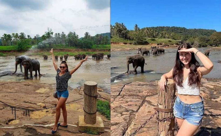 from-colombo-kandy-day-tour-with-hotel-pickup-and-drop-off