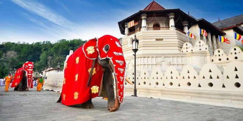 from-colombo-kandy-pinnawala-and-tea-factory-full-day-trip-2