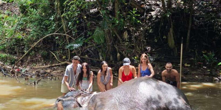 from-colombo-kandy-pinnawala-and-tea-factory-full-day-trip-2